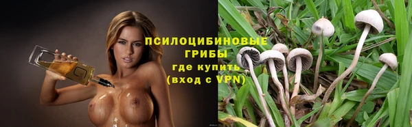 спиды Аркадак