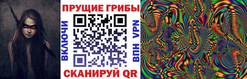 Галлюциногенные грибы Psilocybe Темрюк